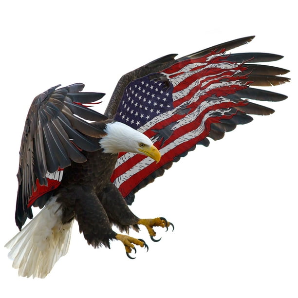 American flag eagle motorcyle dirt bike vinyl graphic decal sticker